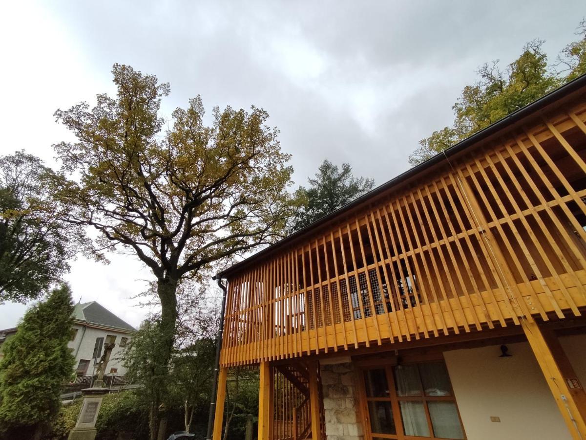 Apartment Ve Mlyne Teplice nad Metují Εξωτερικό φωτογραφία
